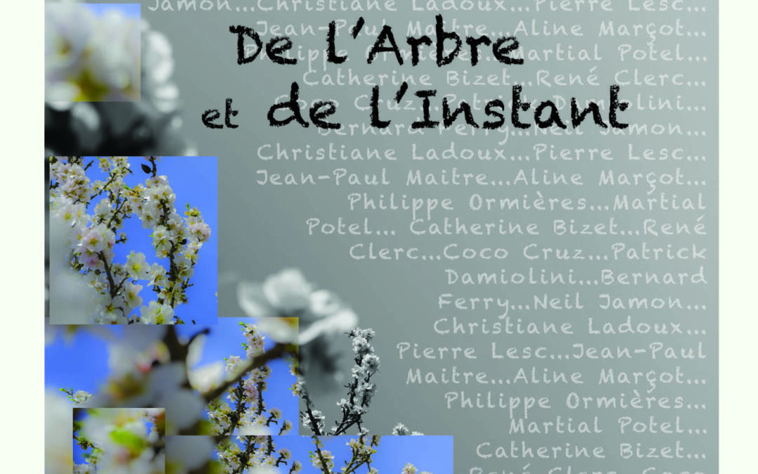 De l’arbre et de l’instant