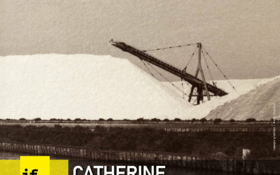 SaltSCAPES