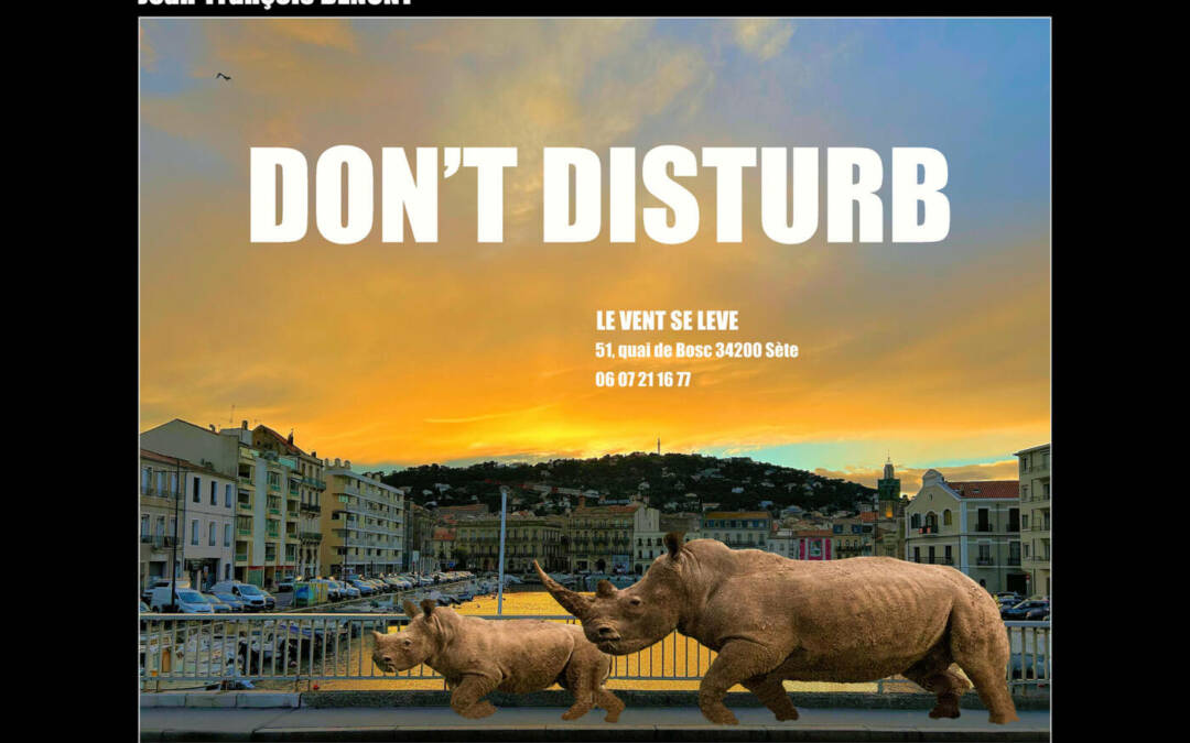 Don’t disturb