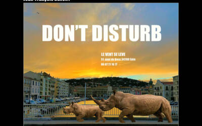 Don’t disturb